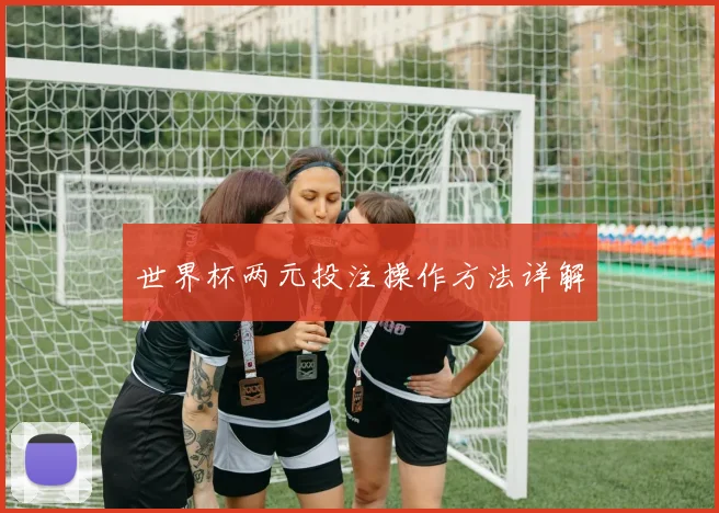 世界杯两元投注操作方法详解