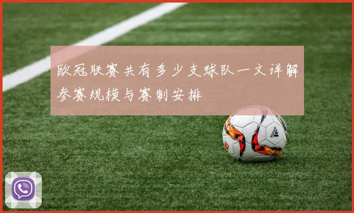 欧冠联赛共有多少支球队一文详解参赛规模与赛制安排