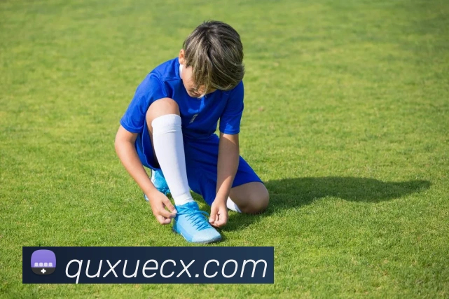 半岛网站发展历程